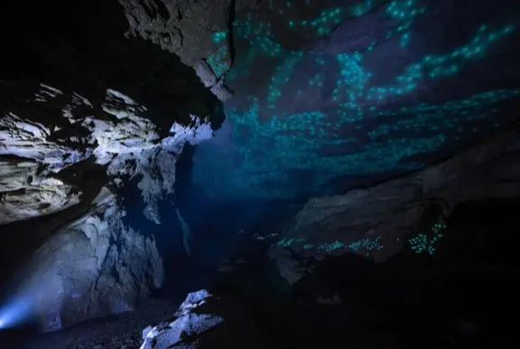 New Zealand Glowworm Caves